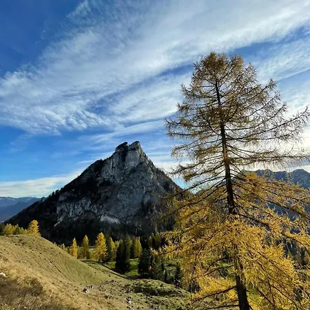 Klinglerbauer דירה *