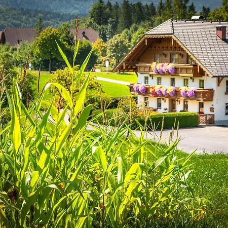 Klinglerbauer Apartament Strobl