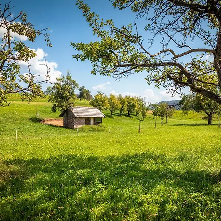 Apartament Klinglerbauer *