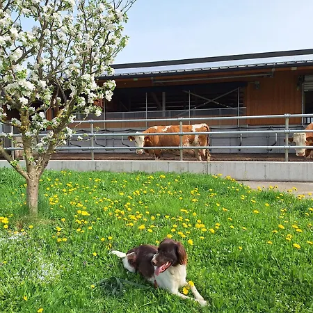 Klinglerbauer דירה *