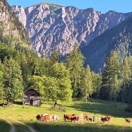 Klinglerbauer דירה שטרובל