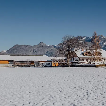 Klinglerbauer * שטרובל