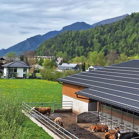 Klinglerbauer Strobl