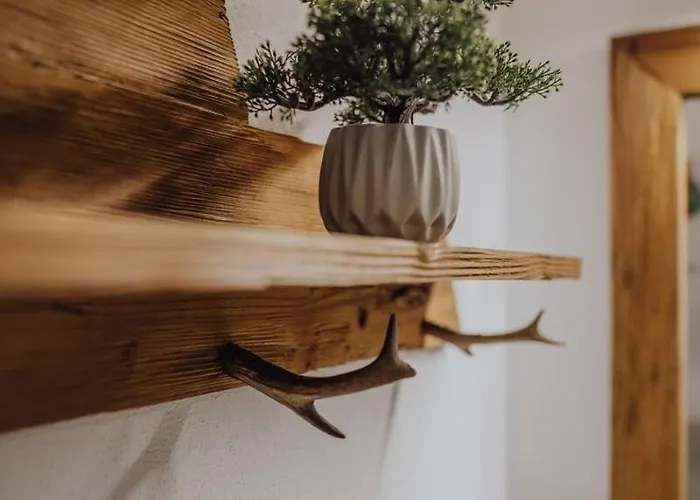 Klinglerbauer Lejlighed