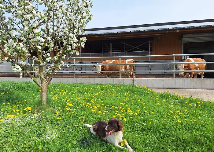 Klinglerbauer Appartamento *