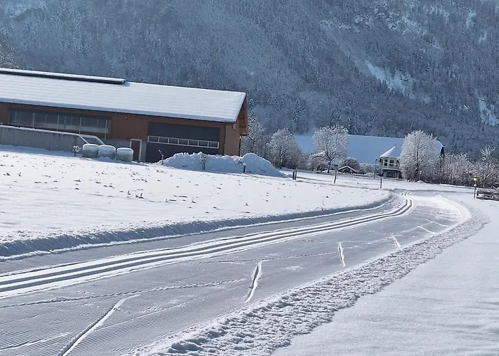 Lejlighed Klinglerbauer