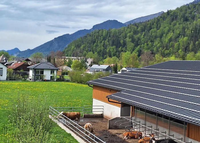 Klinglerbauer Strobl